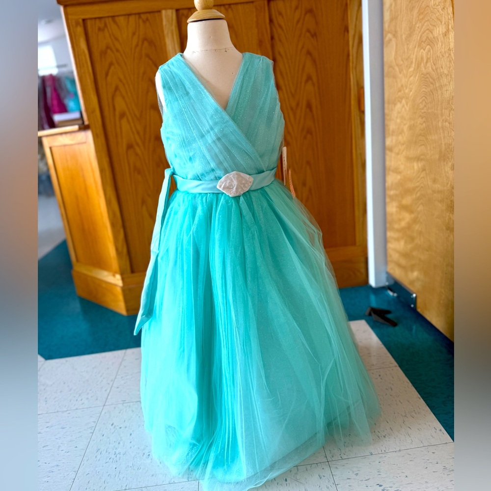 Aqua/Teal Fancy Princess Dress